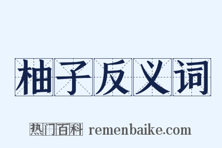 柚子反义词是什么意思的图片